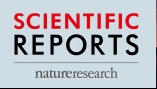scientific reports nature